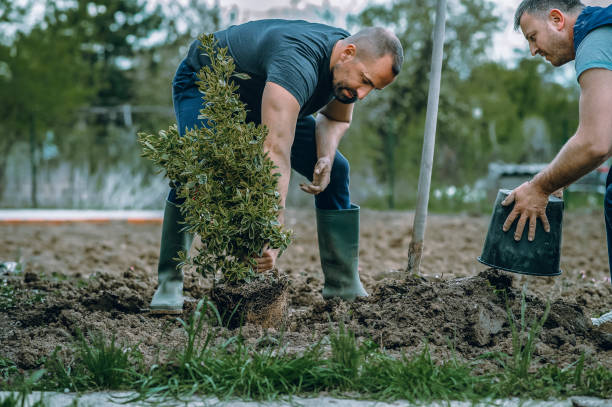Soil Testing and Treatment in Kirby, TX